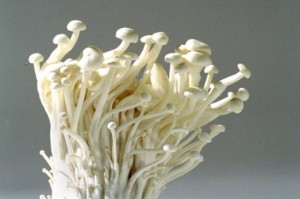 enoki