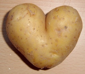 potato-love